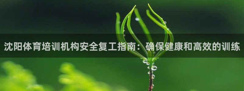 富联娱乐是什么时候开的店：沈阳体育培训机构安全复工指