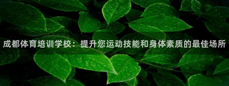 富联申购上市价格预测最新：成都体育培训学校：提升您运