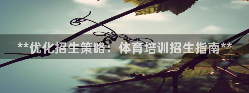 香港富联国际集团：**优化招生策略：体育培训招生指南