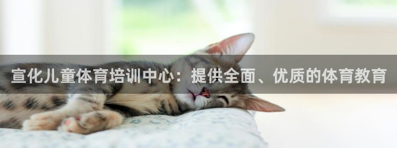 富联娱乐怎么样：宣化儿童体育培训中心：提供全面、优质