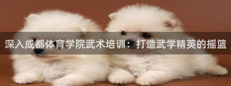 富联娱乐登录注册入口官网网址查询：深入成都体育学院武