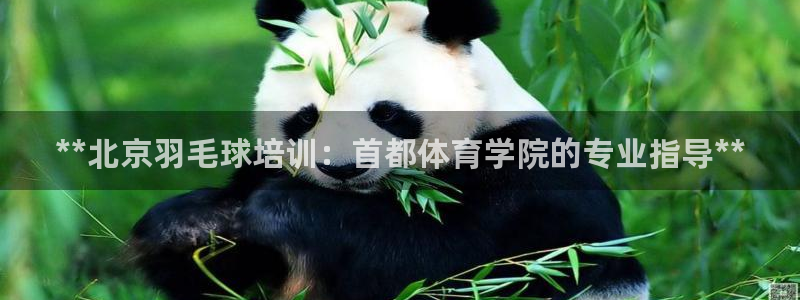 富联娱乐会员多少钱：**北京羽毛球培训：首都体育学院