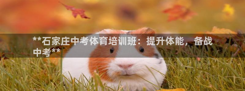 富联平台事 411O31 富联：**石家庄中考体育培
