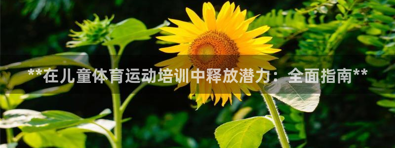 富联平台用户登陆失败：**在儿童体育运动培训中释放潜力：全面