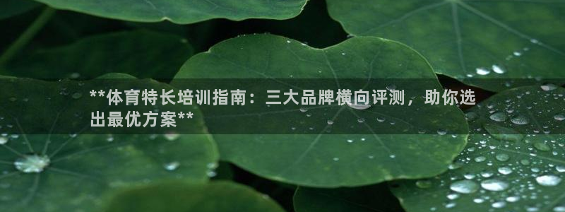 富联公寓租房怎么样：**体育特长培训指南：三大品牌横