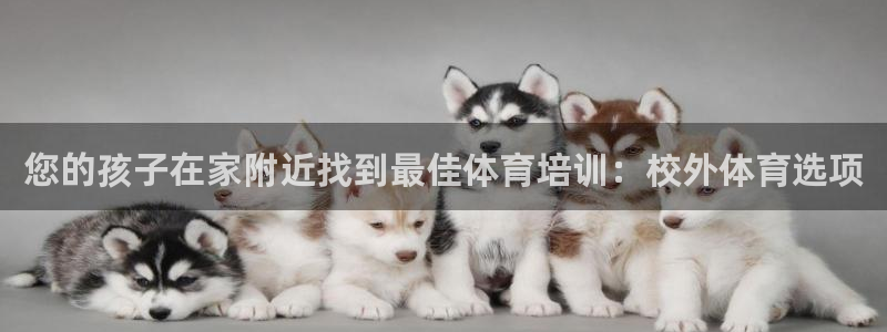 富联娱乐服务站电话：您的孩子在家附近找到最佳体育培训