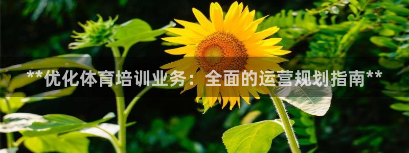 富联官网登录网址：**优化体育培训业务：全面的运营规划指南*