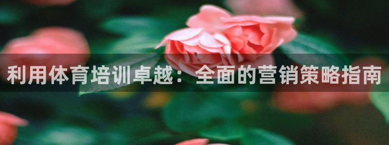 富联官方网站入口下载安装：利用体育培训卓越：全面的营销策略指