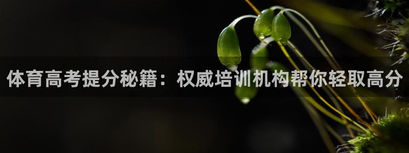 富联娱乐登录注册入口官网网址是什么：体育高考提分秘籍