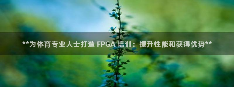 富联娱乐总代理：**为体育专业人士打造 FPGA 培