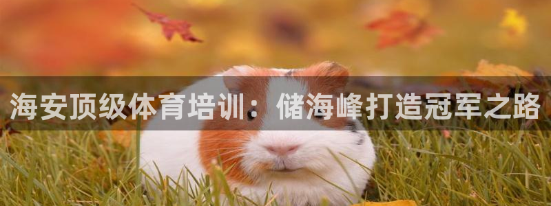 富联娱乐军7O777：海安顶级体育培训：储海峰打造冠