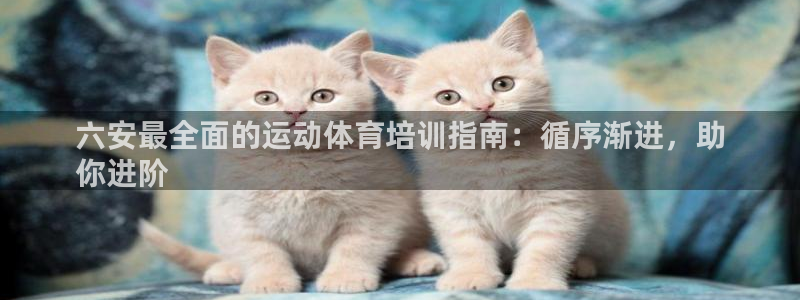 富联平台网站登录入口：六安最全面的运动体育培训指南：循序渐进