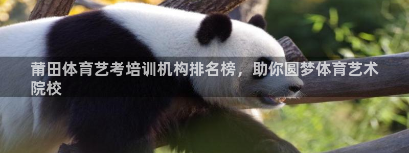富联娱乐平台怎么样知乎：莆田体育艺考培训机构排名榜，