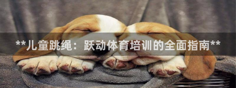 富联娱乐优 411o31 富联：**儿童跳绳：跃动体