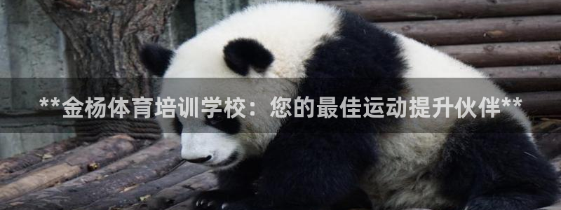 富联娱乐负责人名单：**金杨体育培训学校：您的最佳运动提升伙