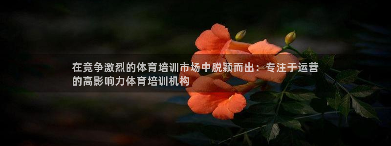 富联官方网站首页登录网址：在竞争激烈的体育培训市场中