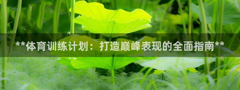 富联平台注册登录入口：**体育训练计划：打造巅峰表现