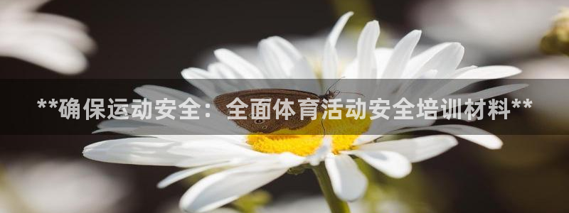 富联平台官网下载：**确保运动安全：全面体育活动安全培训材料