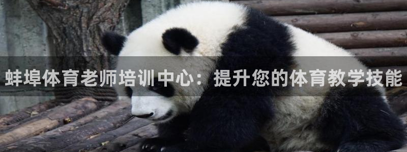 富联什么意思：蚌埠体育老师培训中心：提升您的体育教学