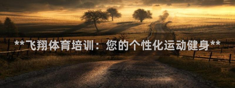 香港富联国际集团：**飞翔体育培训：您的个性化运动健身**