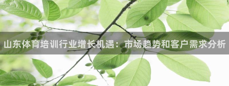 富联娱乐客户端app下载服务器失败怎么办：山东体育培训行业增