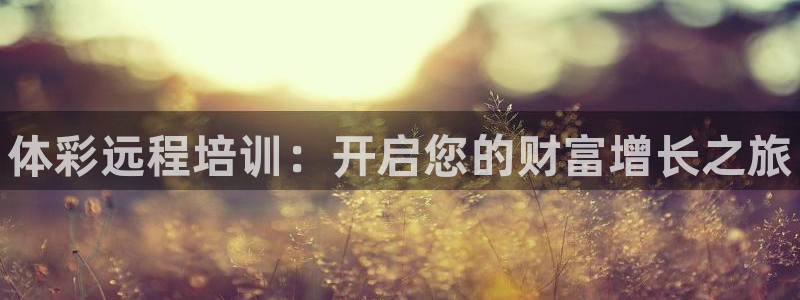 富联平台辉 411o31 富联