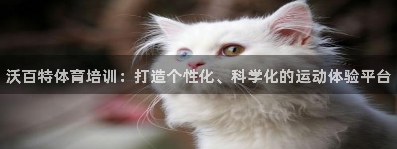 富联平台注册地址是哪里：沃百特体育培训：打造个性化、科学化的