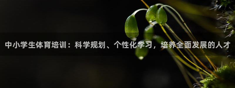 富联平台节7O777：中小学生体育培训：科学规划、个性化学习