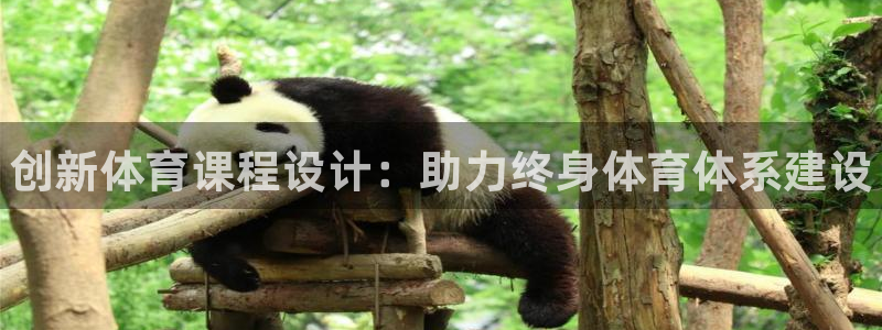 富联娱乐平台怎么样可靠吗：创新体育课程设计：助力终身体育体系