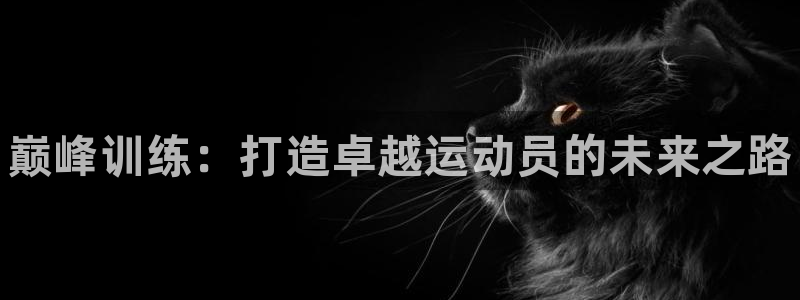 富联娱乐平台开户流程视频：巅峰训练：打造卓越运动员的未来之路