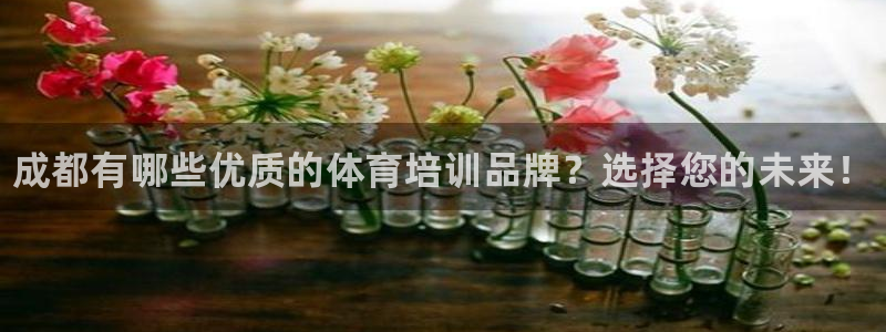 富联娱乐股东名单：成都有哪些优质的体育培训品牌？选择您的未来