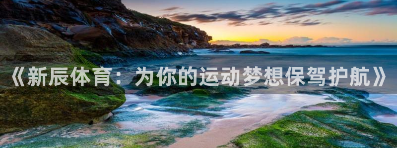 富联申购什么时候开盘：《新辰体育：为你的运动梦想保驾护航》