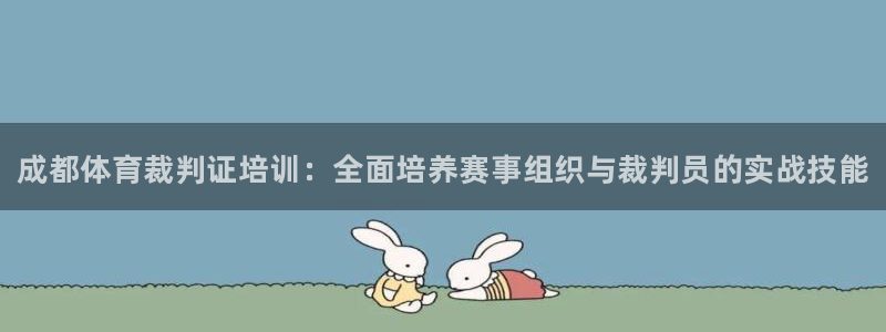 富联平台官网登录：成都体育裁判证培训：全面培养赛事组织与裁判