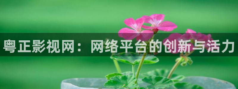 噜噜影院老司机爱看