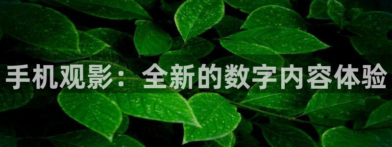 爱看影视app