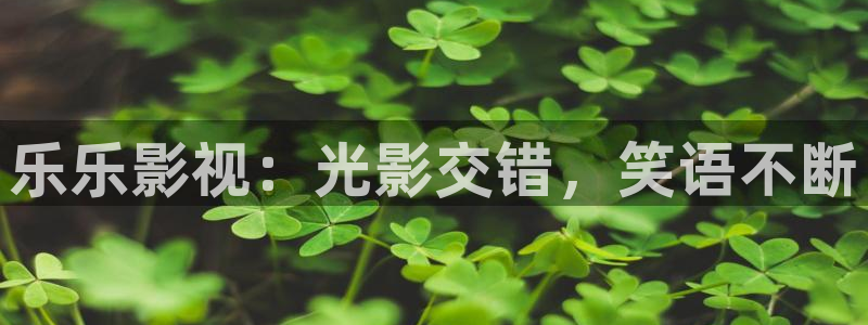 爱看影视剧