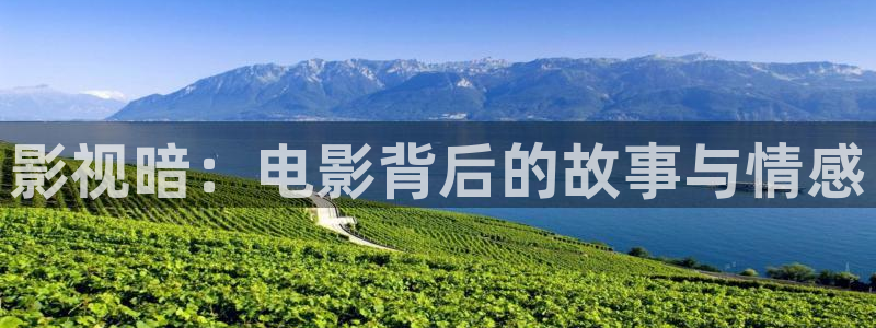 光棍爱看的影院