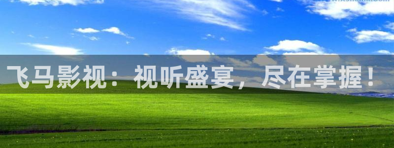 爱看影视网站免费版